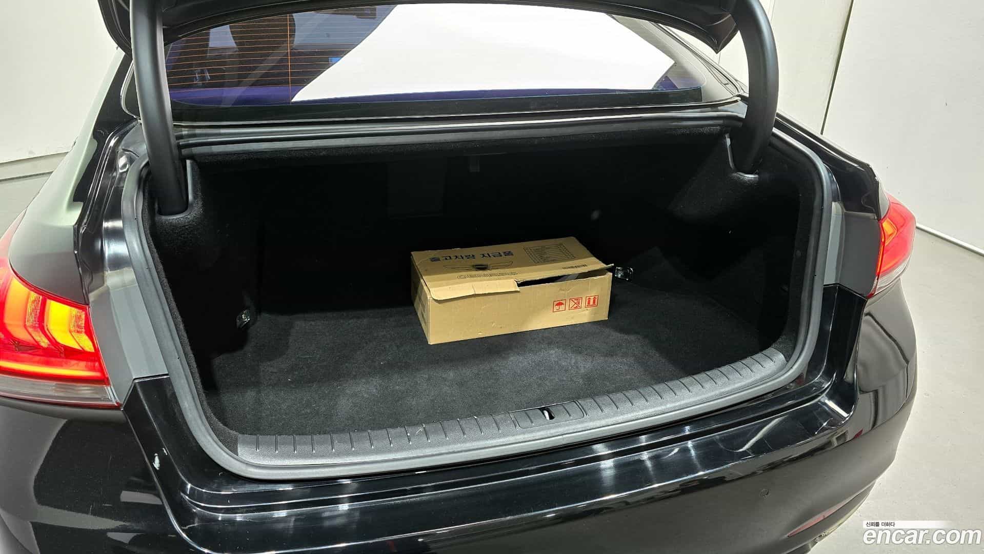 Genesis Hyundai 2014.9-OPTION-024