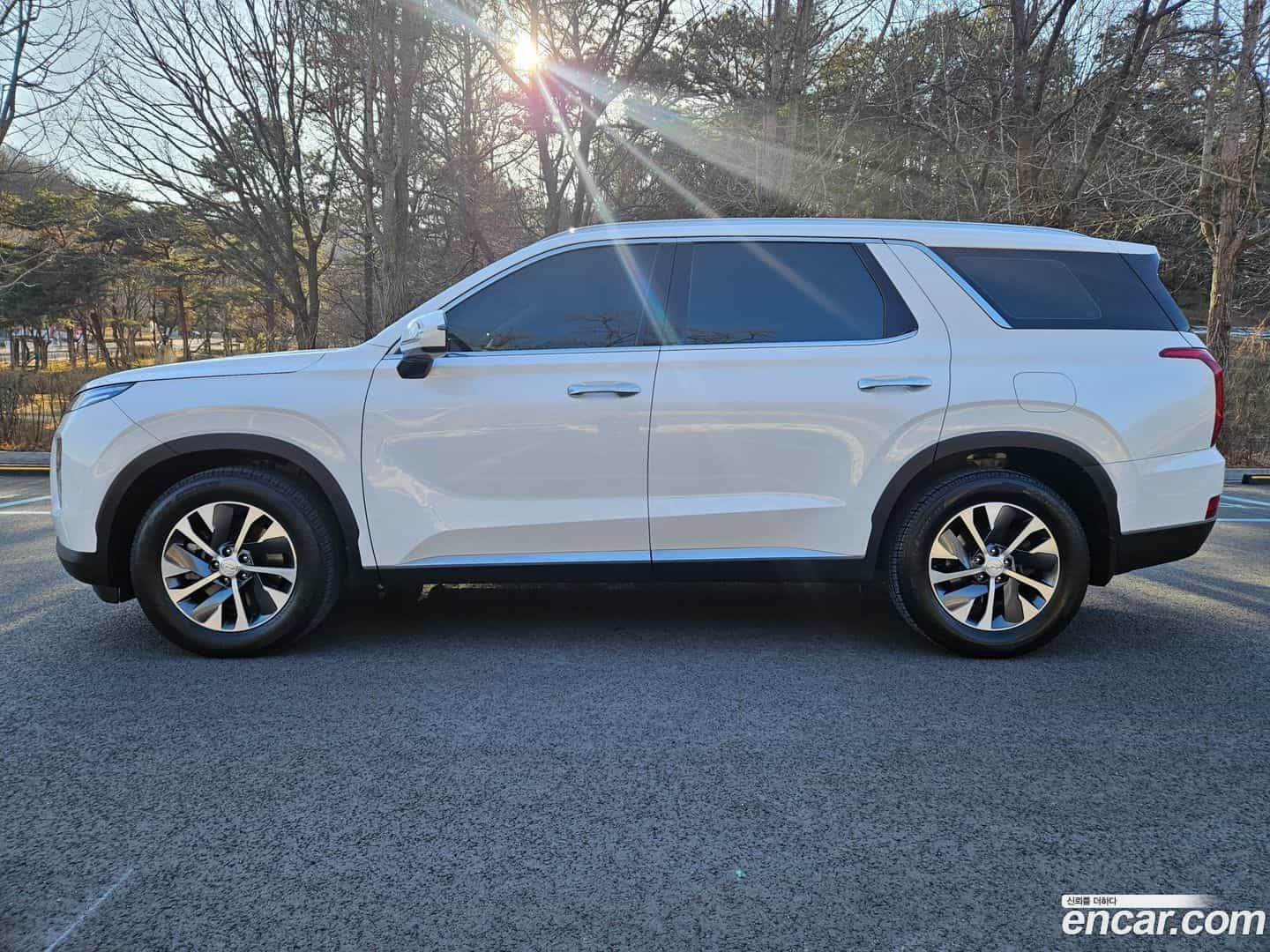 Palisade Hyundai 2021.0-OUTER-004