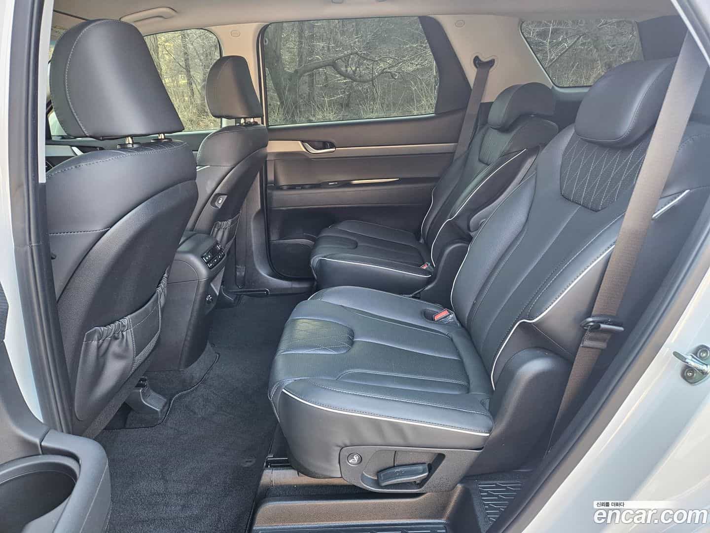 Palisade Hyundai 2021.0-OPTION-015
