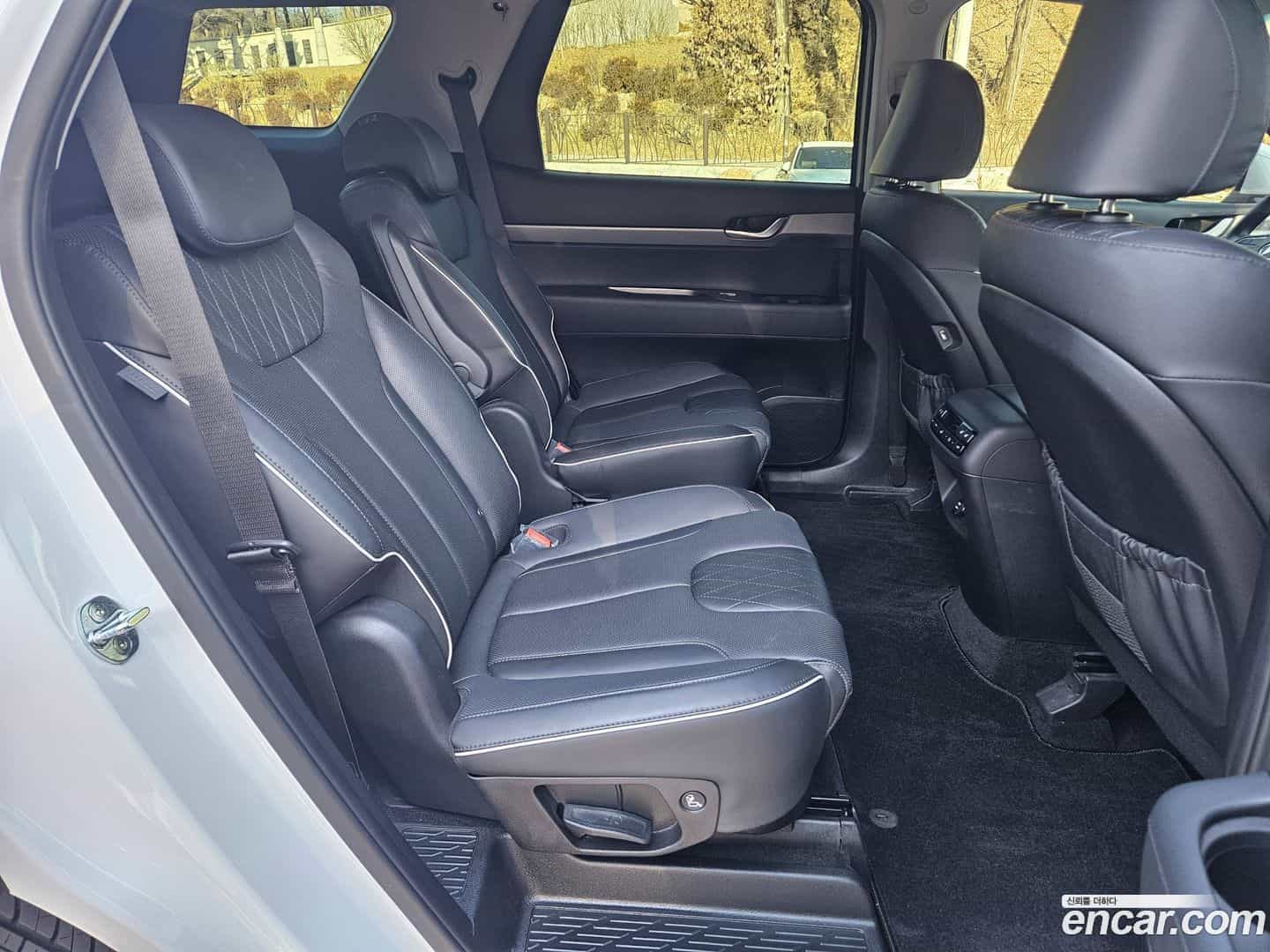 Palisade Hyundai 2021.0-OPTION-016