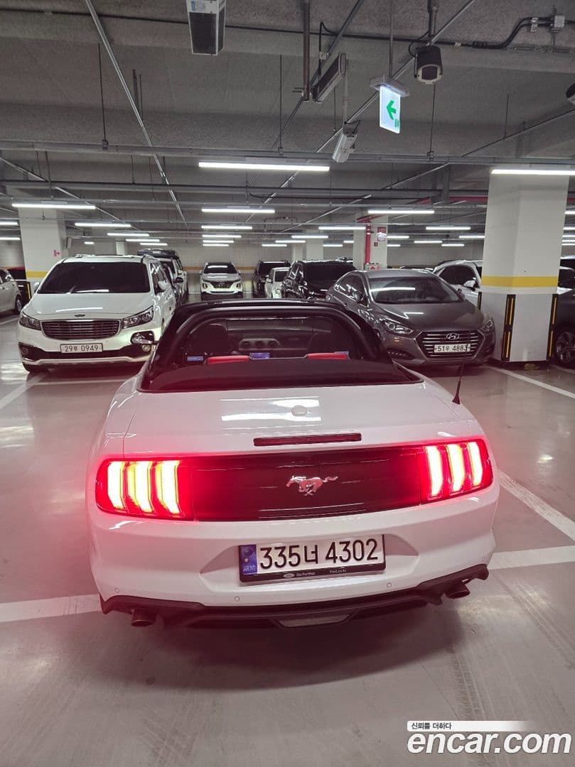 Main__Slider__Photo:Mustang Ford 2022.10-0