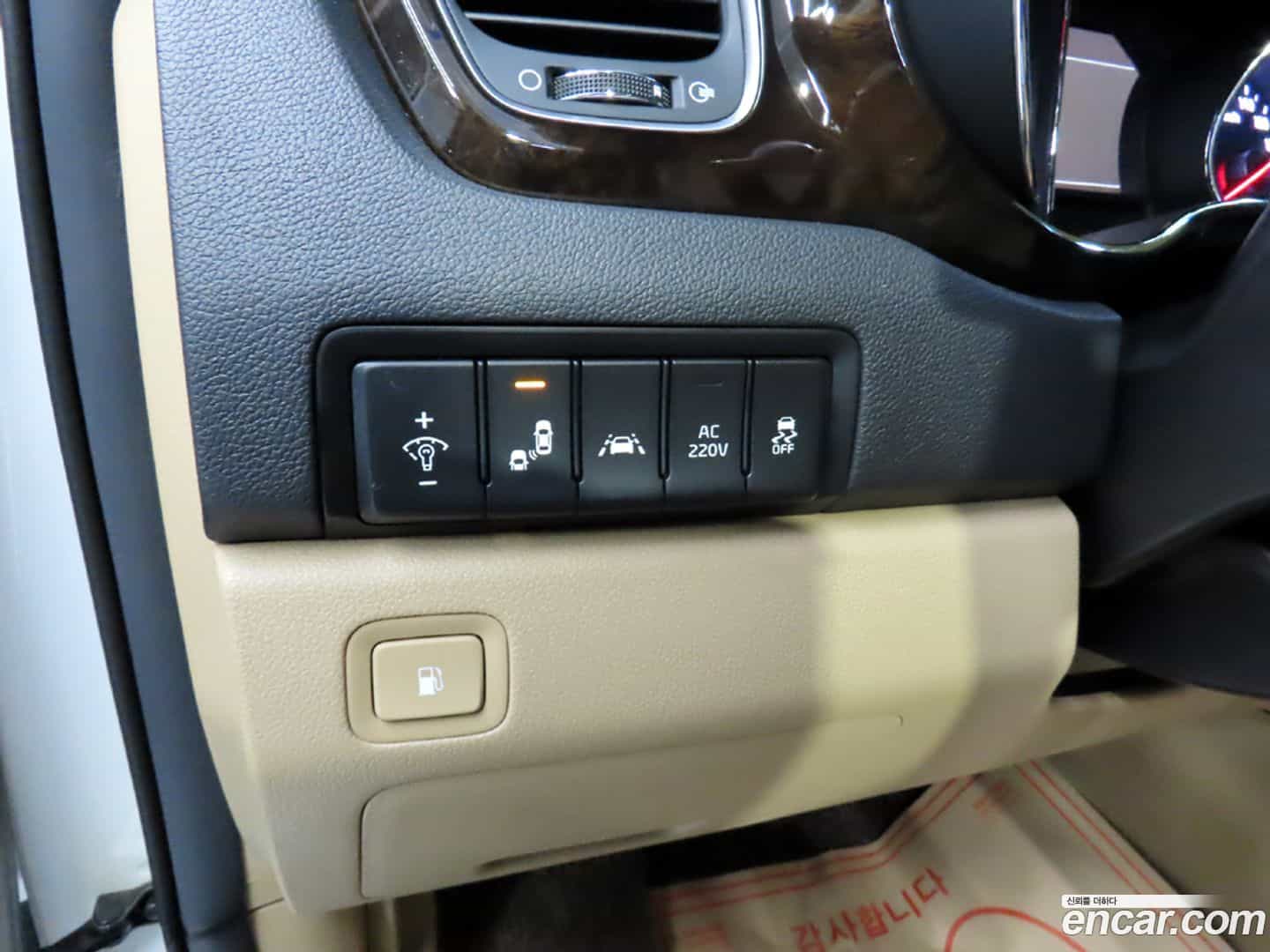 Canival Kia 2019.0-OPTION-016