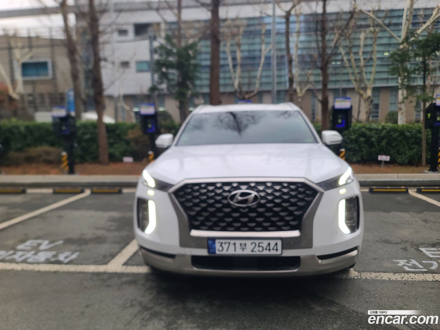 Main__Slider__Photo:Palisade Hyundai 2022.1-0