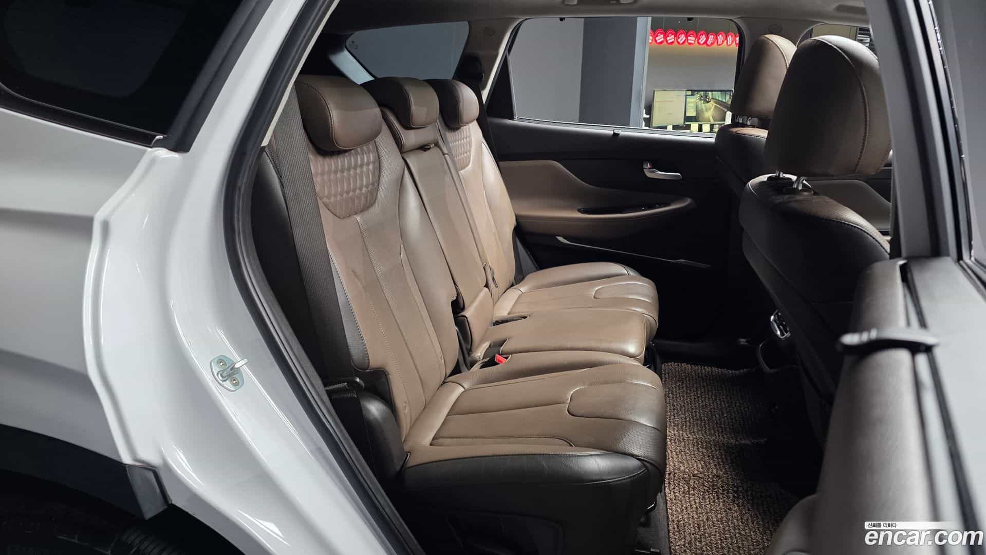 Santafe Hyundai 2018.6-OPTION-016