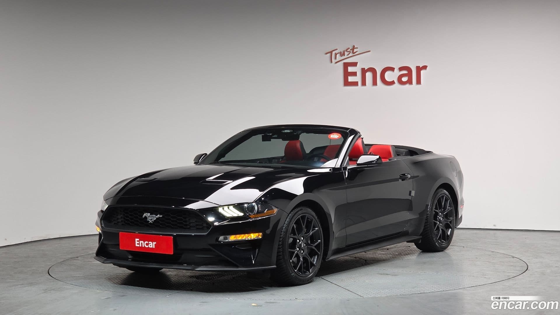 Main__Slider__Photo:Mustang Ford 2022.9-0