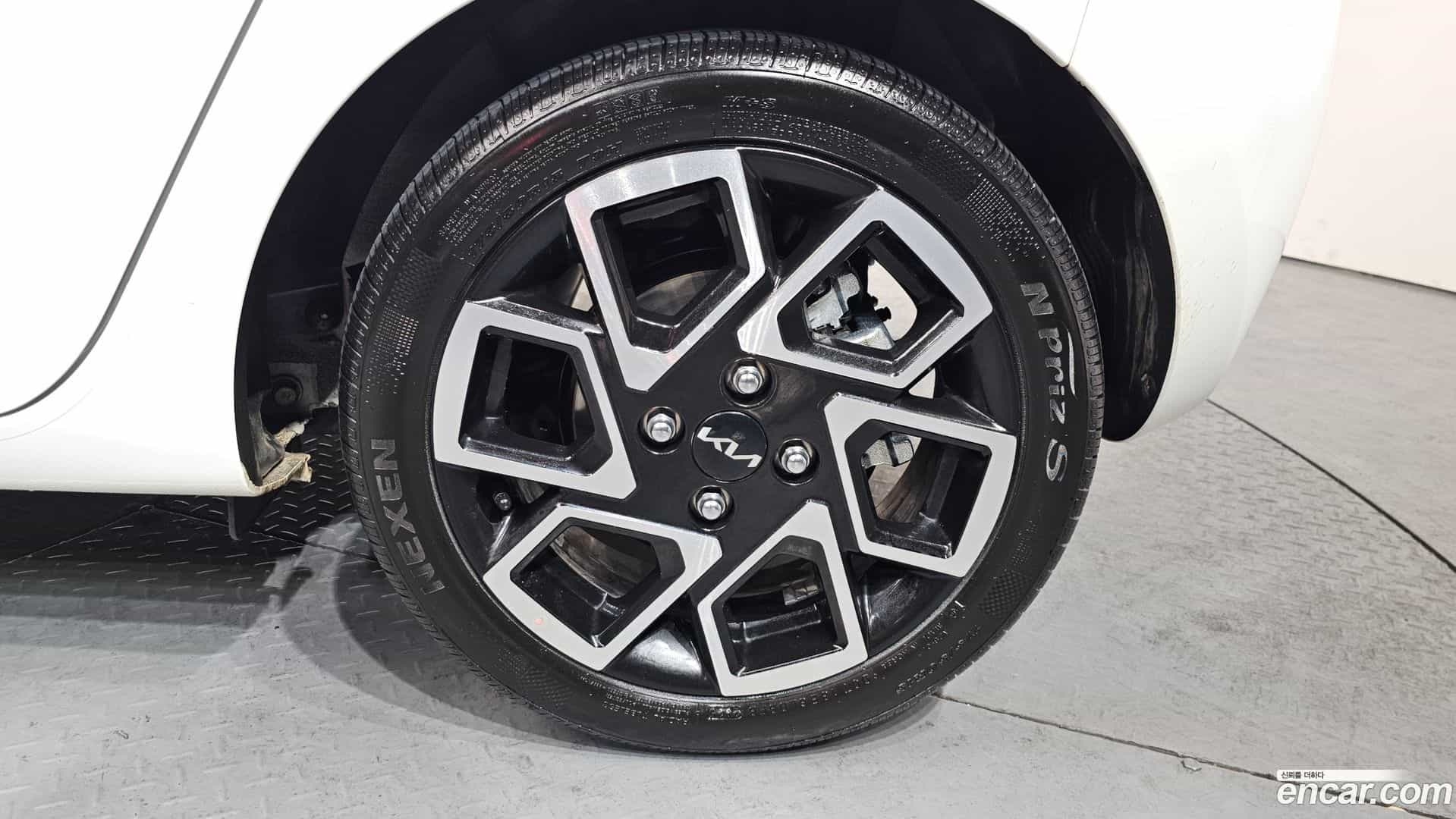 RAY Kia 2025.8-OUTER-005