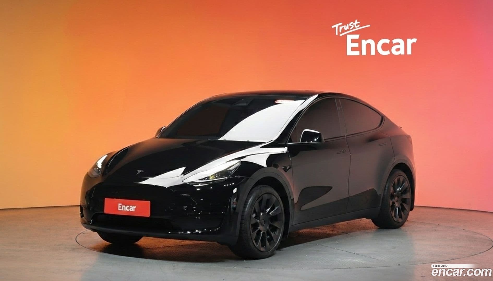 Main__Slider__Photo:Model Y Tesla 2024.4-0