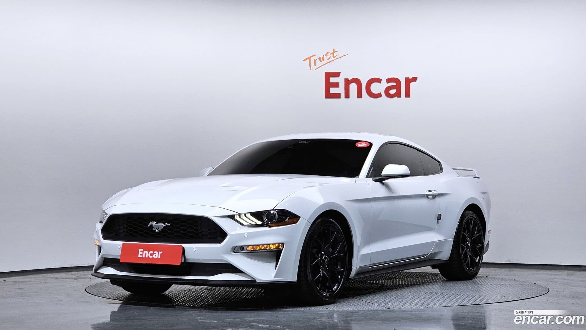Main__Slider__Photo:Mustang Ford 2022.8-0