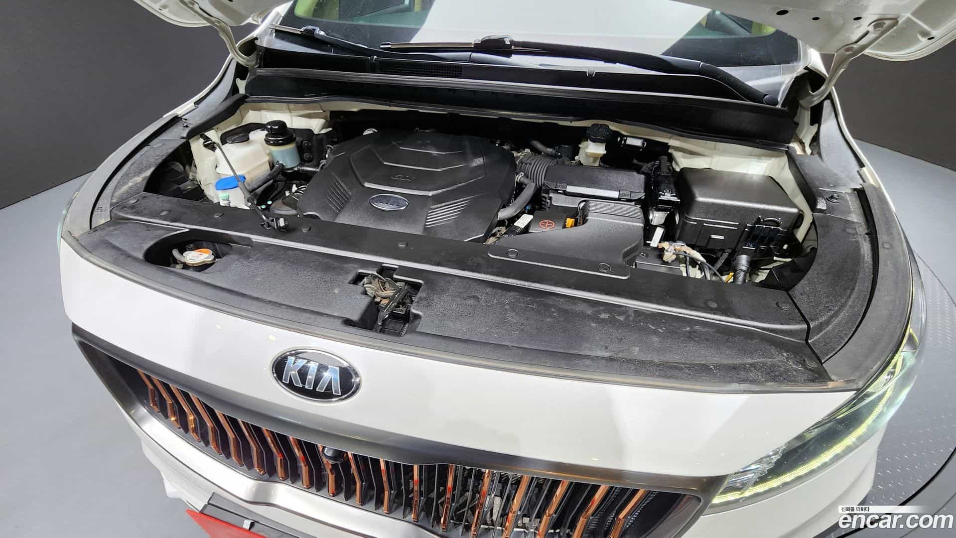 Canival Kia 2019.11-OUTER-006