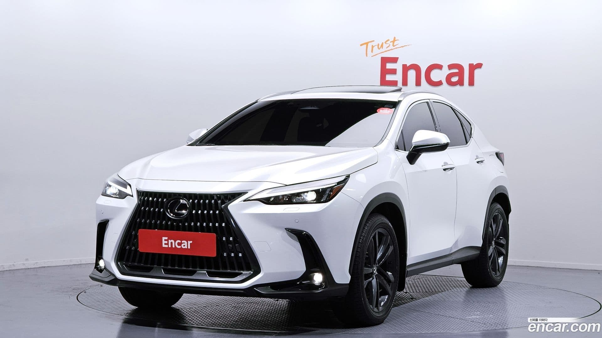 Main__Slider__Photo:NX Lexus 2024.8-0