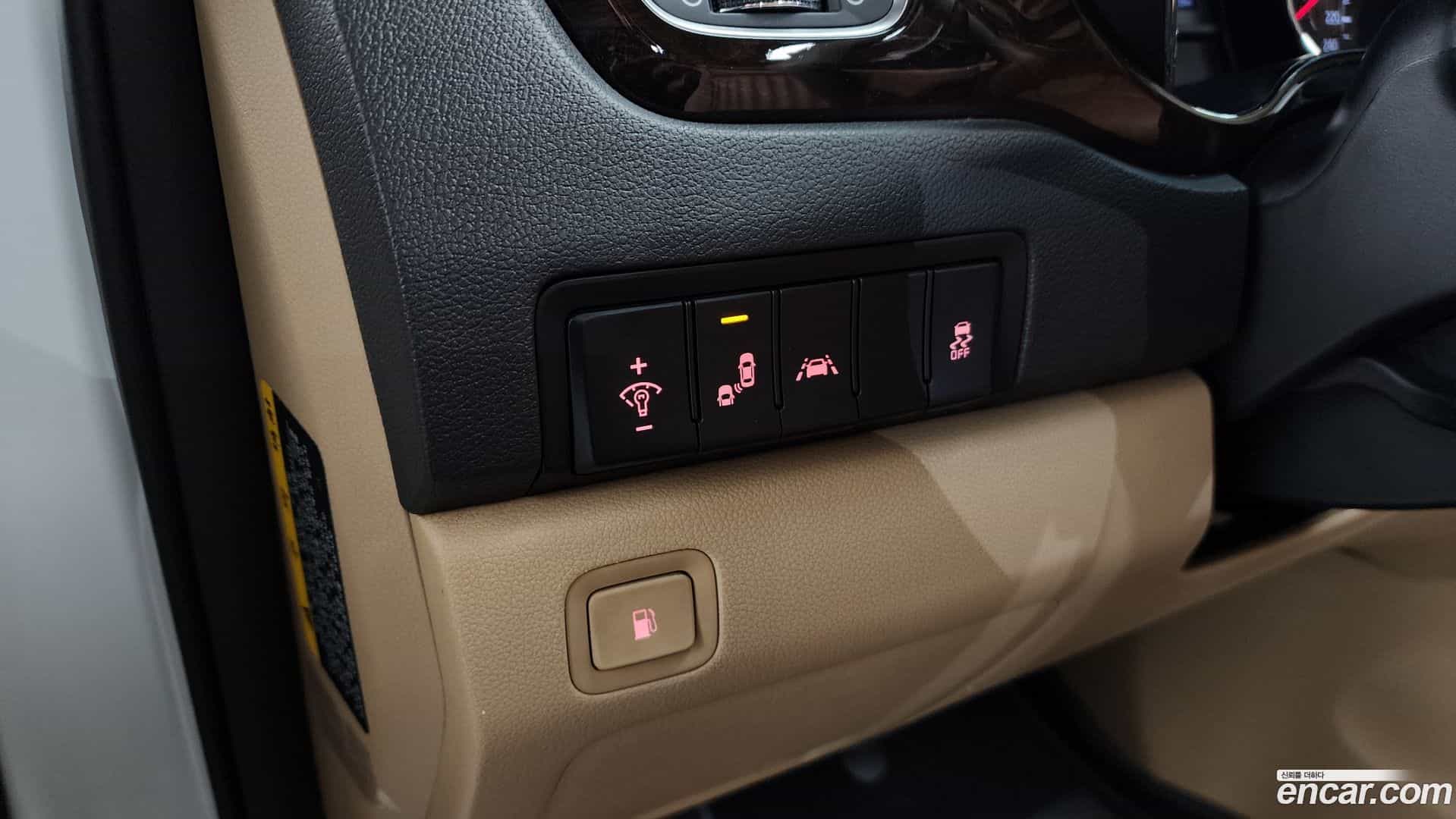 Canival Kia 2018.11-OPTION-018