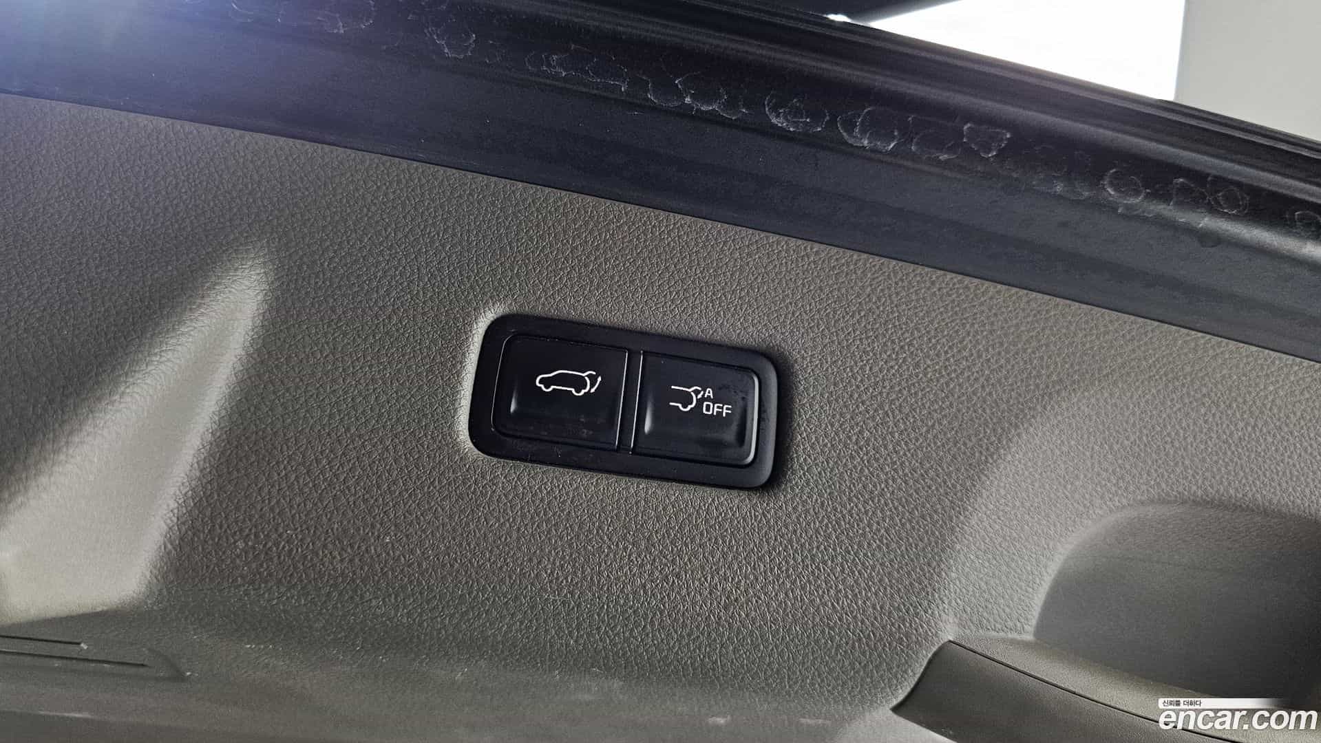 Canival Kia 2020.8-OPTION-023