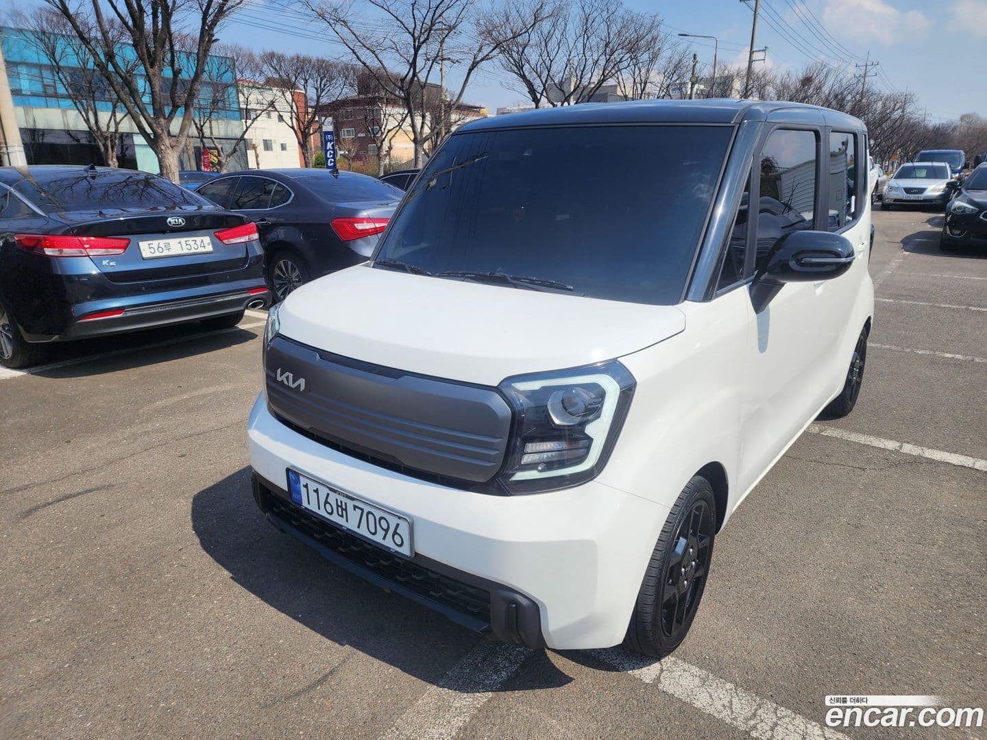 Main__Slider__Photo:RAY Kia 2024.6-0