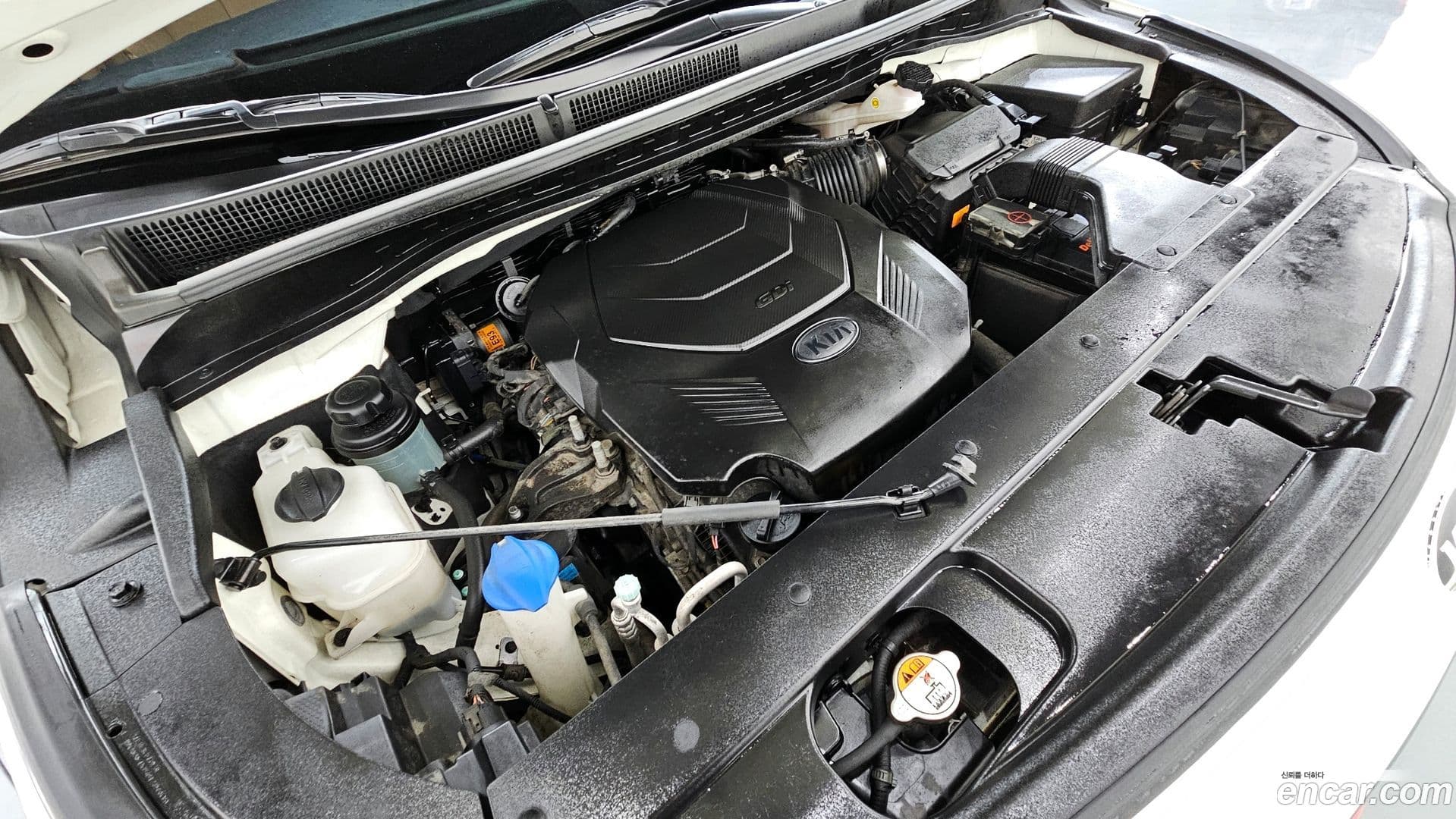 Main__Slider__Photo:Canival Kia 2019.4-5