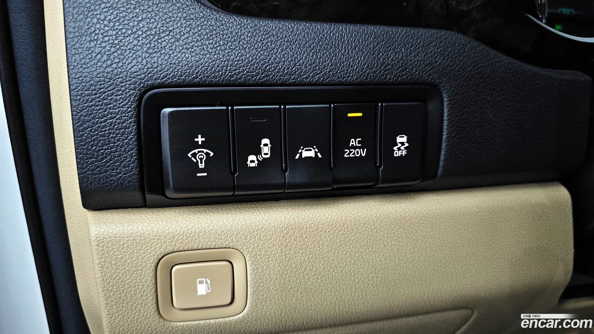 Canival Kia 2019.4-OPTION-020