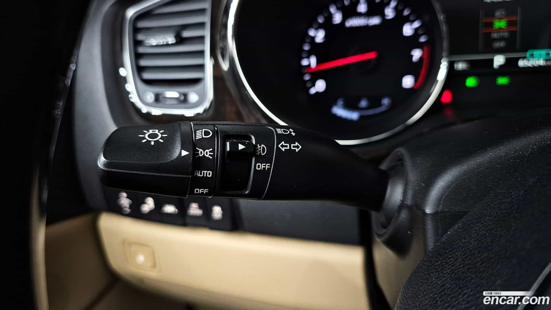 Canival Kia 2019.4-OPTION-022