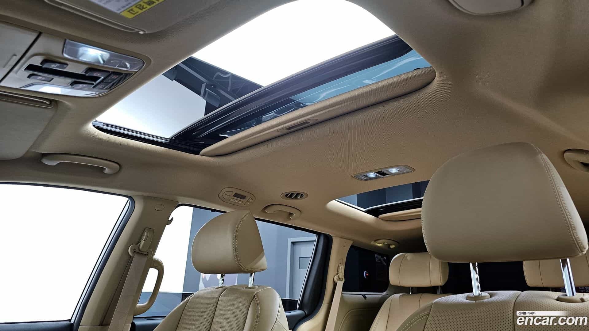 Canival Kia 2019.4-OPTION-023
