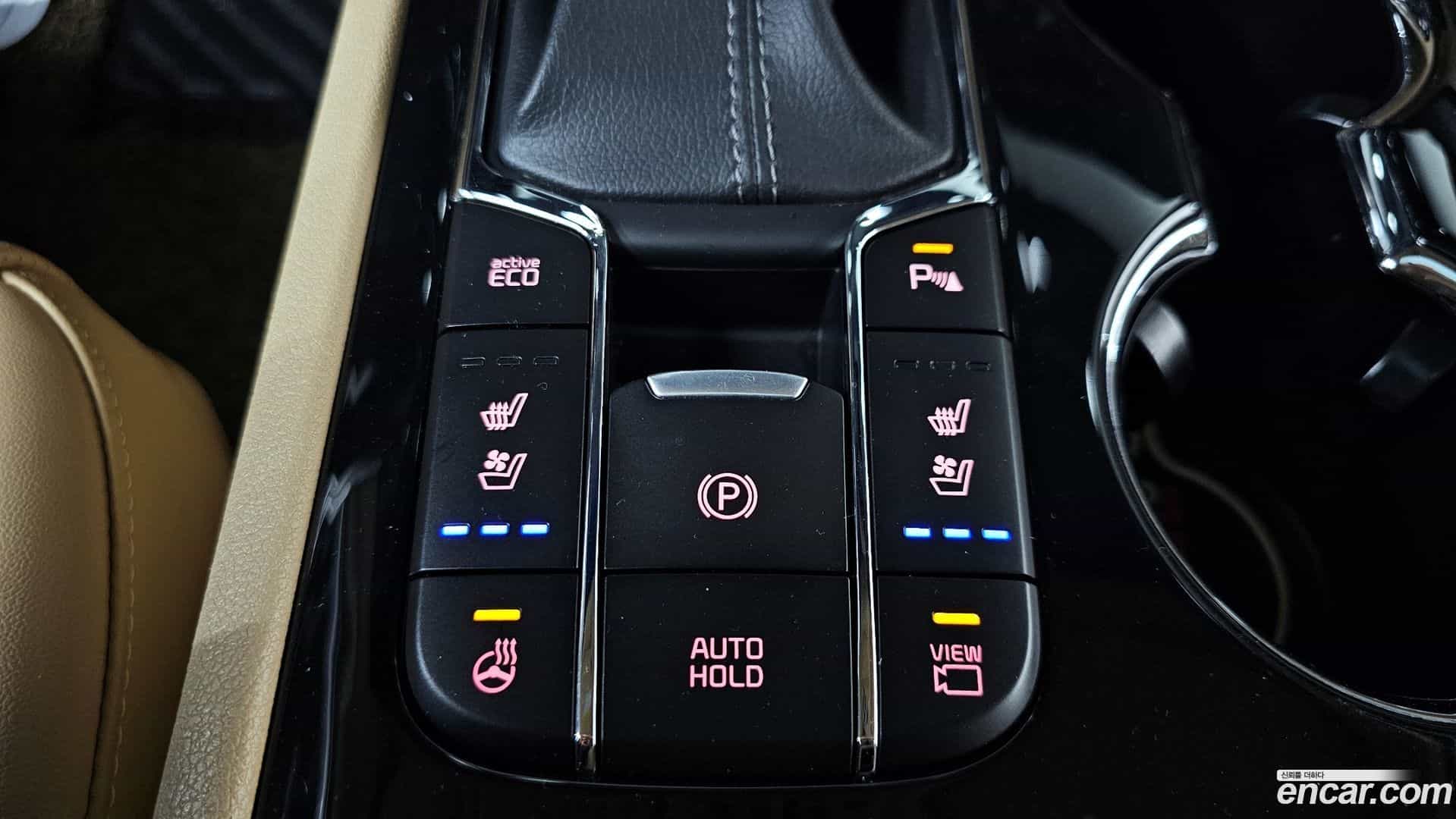 Canival Kia 2019.4-OPTION-041