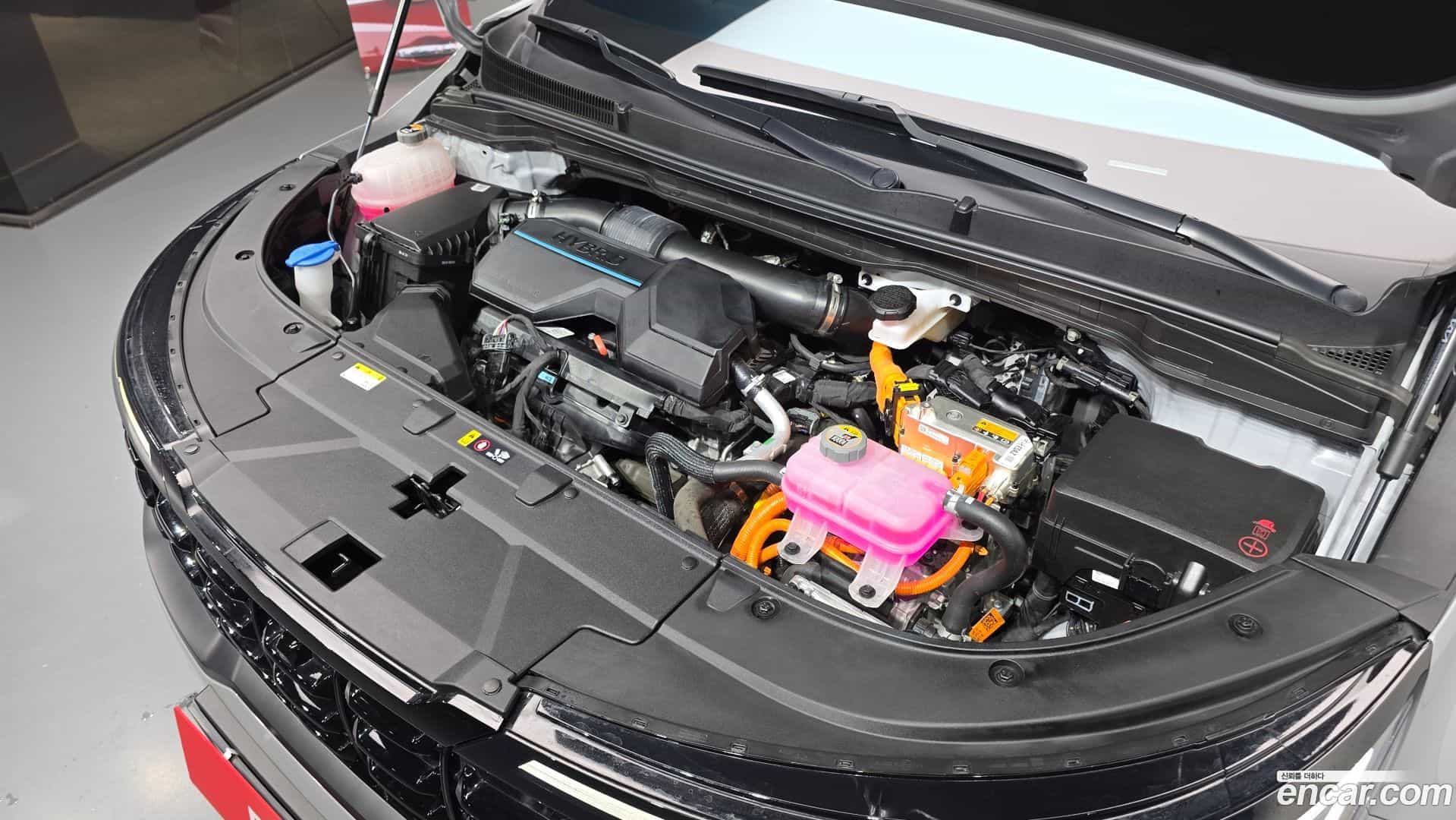 Canival Kia 2024.5-OUTER-006