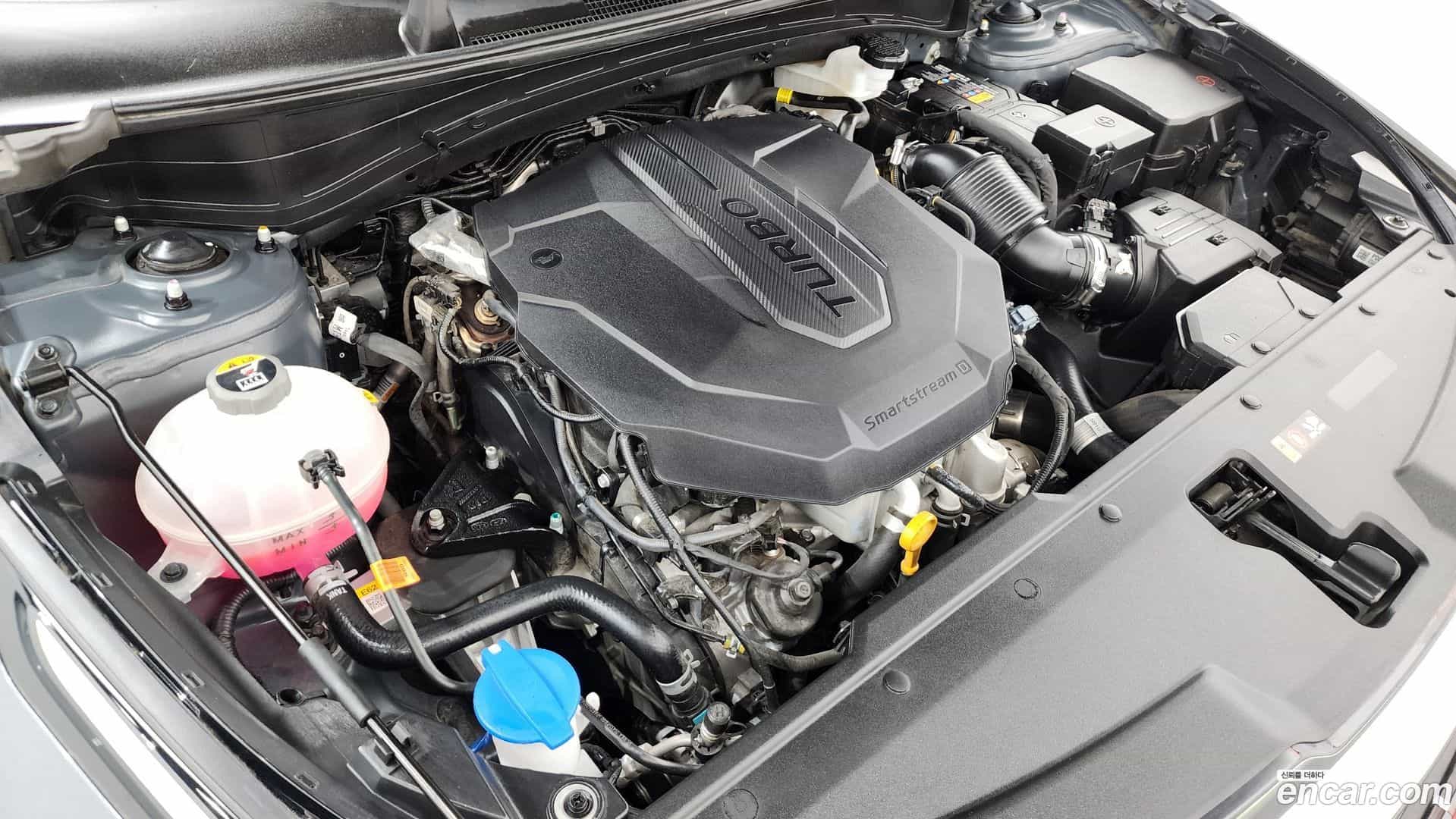 Sportage Kia 2024.11-OUTER-006