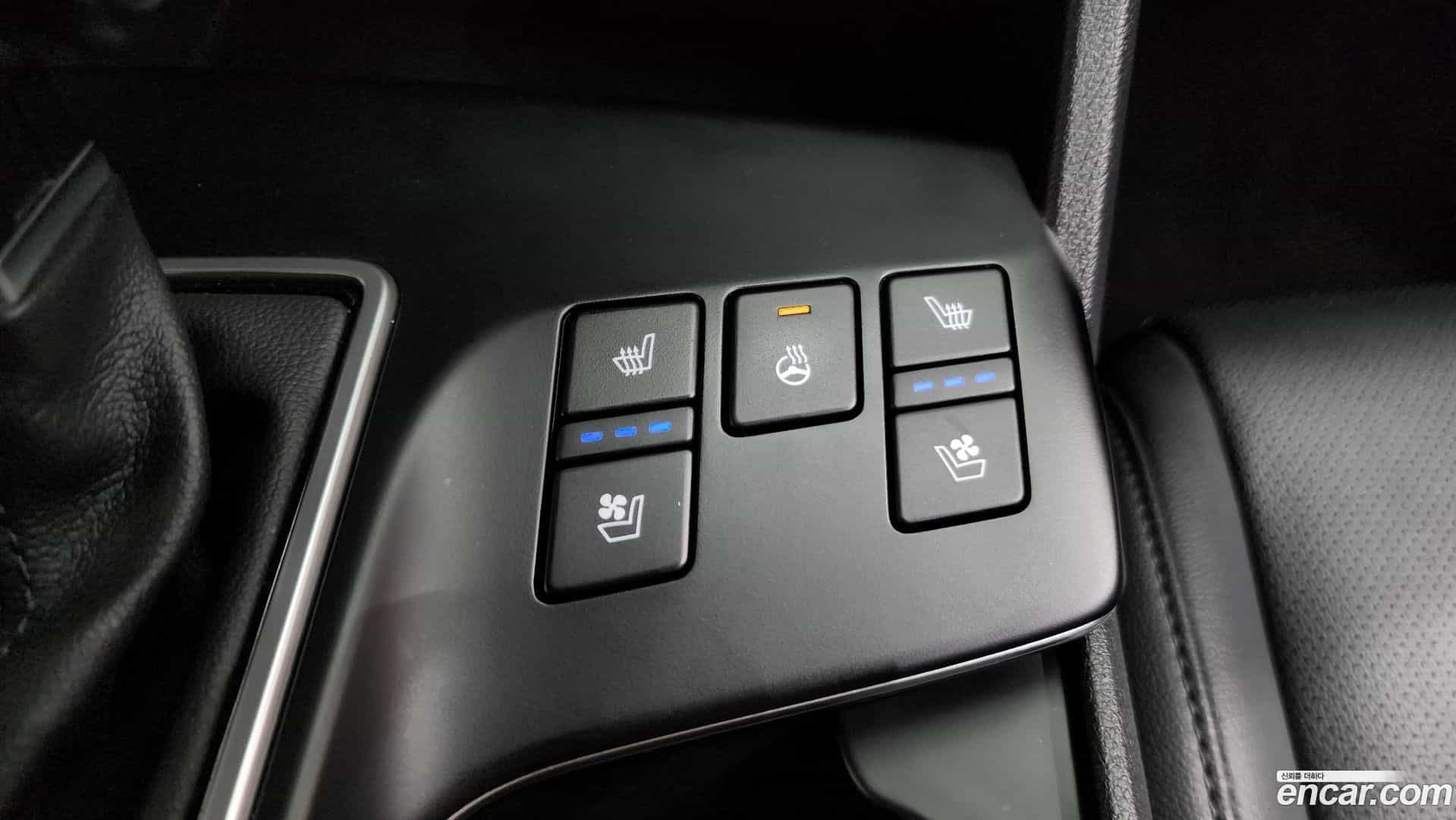 Sportage Kia 2024.11-OPTION-022