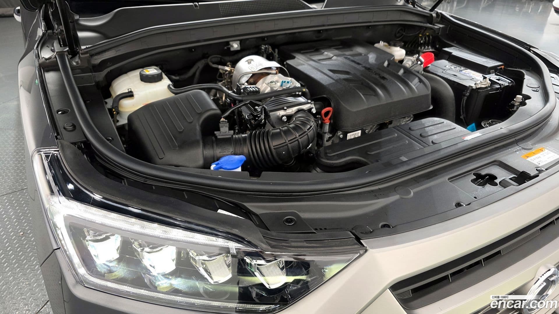 Main__Slider__Photo:Musso KG Mobility 2025.6-5
