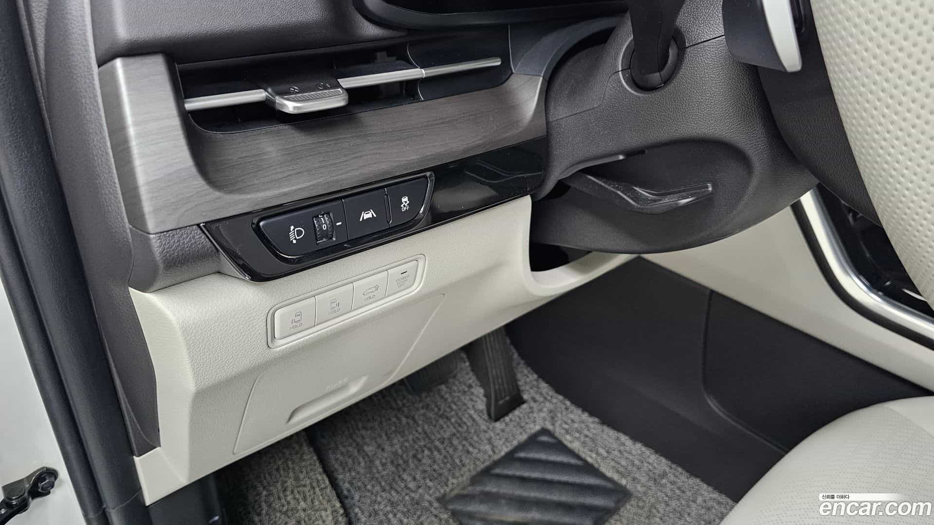 Canival Kia 2020.10-OPTION-044