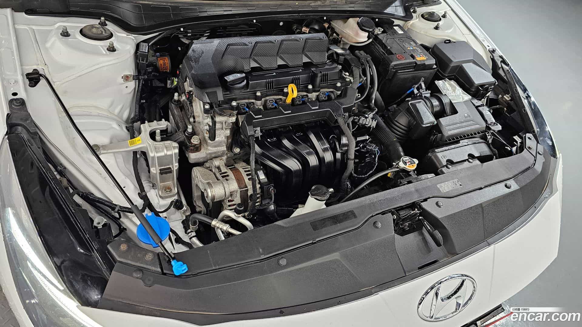 AVANTE Hyundai 2021.6-OUTER-006