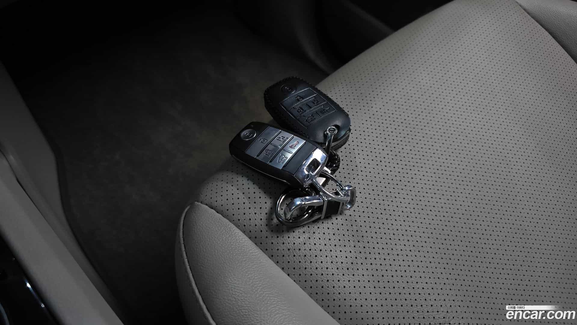 Canival Kia 2019.9-OPTION-045