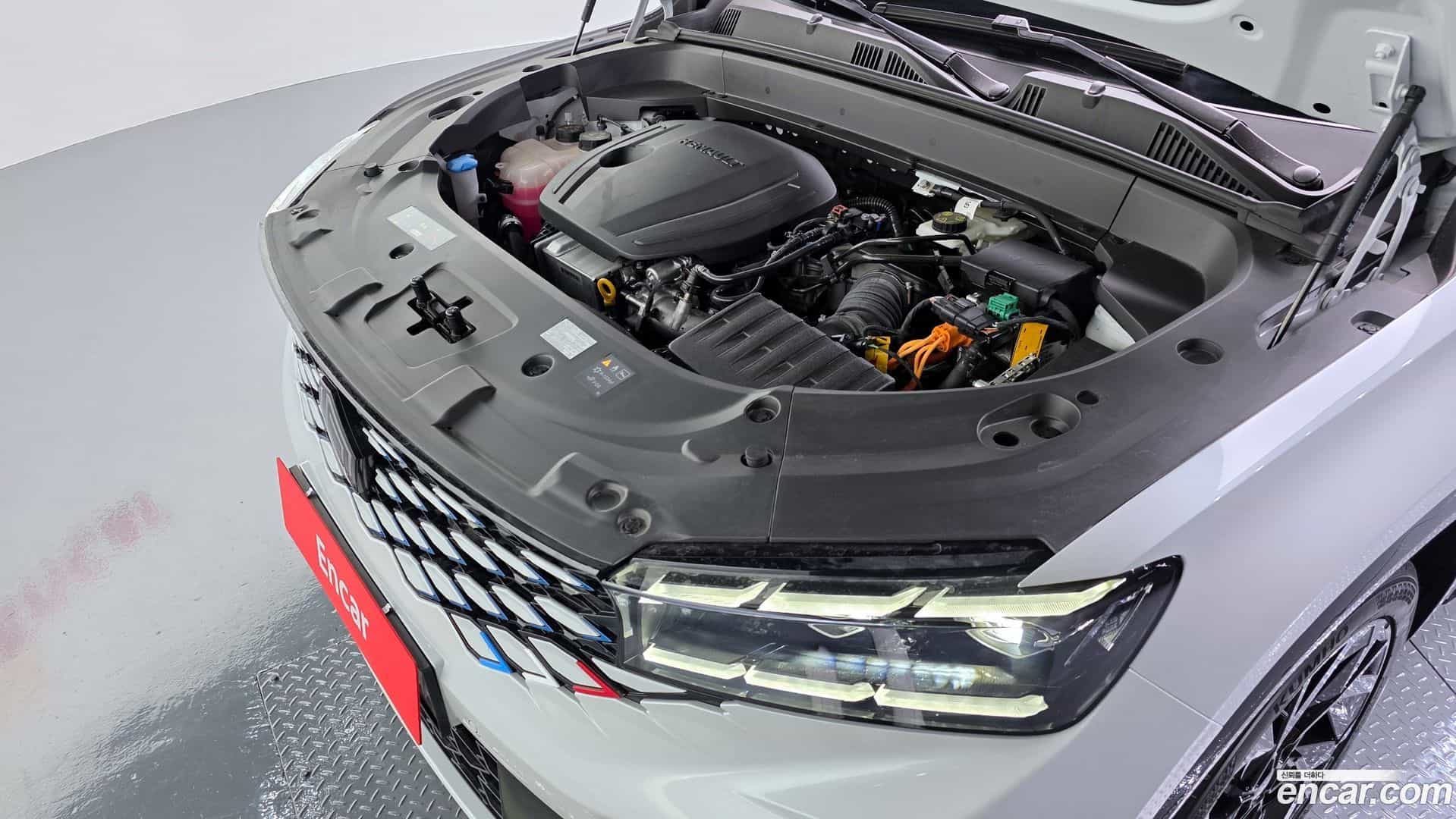 Grand Koleos Renault Korea 2024.10-OUTER-006