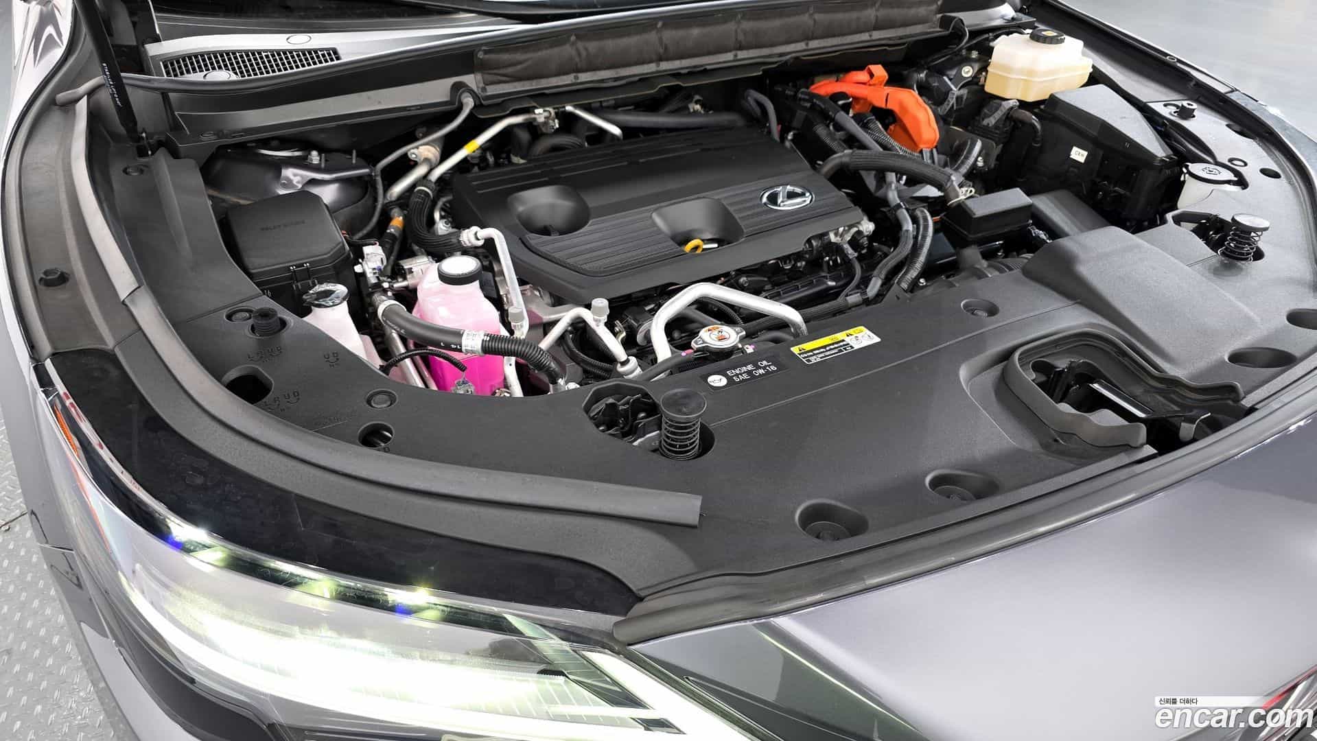 RX Lexus 2024.4-OUTER-006