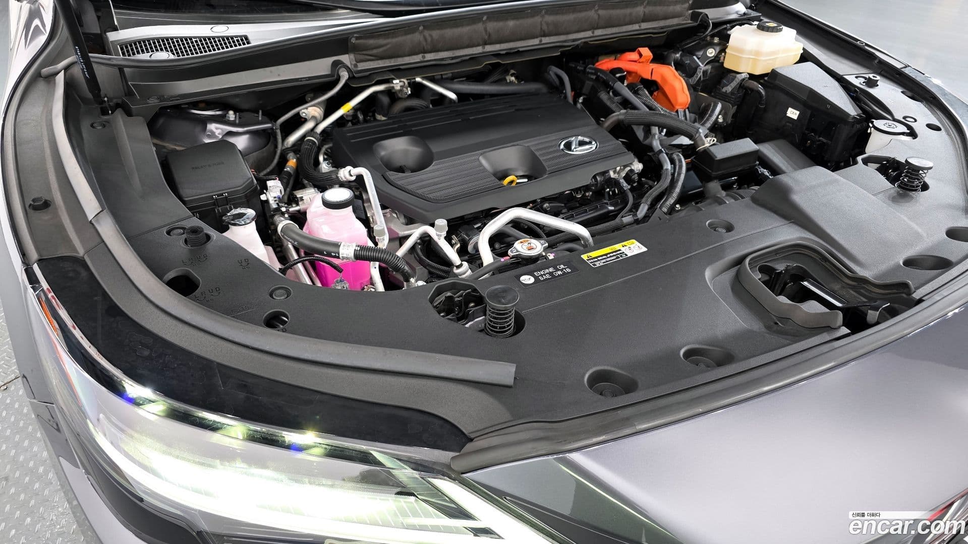Main__Slider__Photo:RX Lexus 2024.4-5