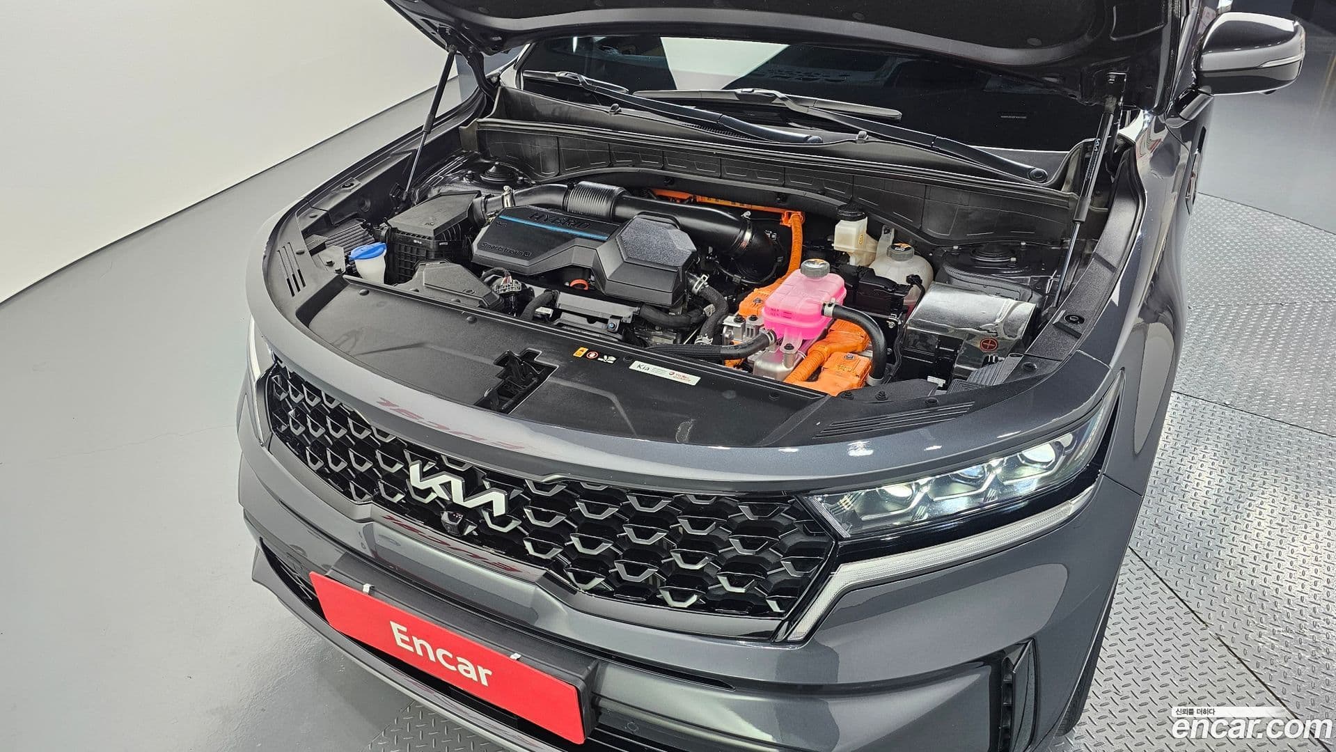 Main__Slider__Photo:Sorento Kia 2022.11-5