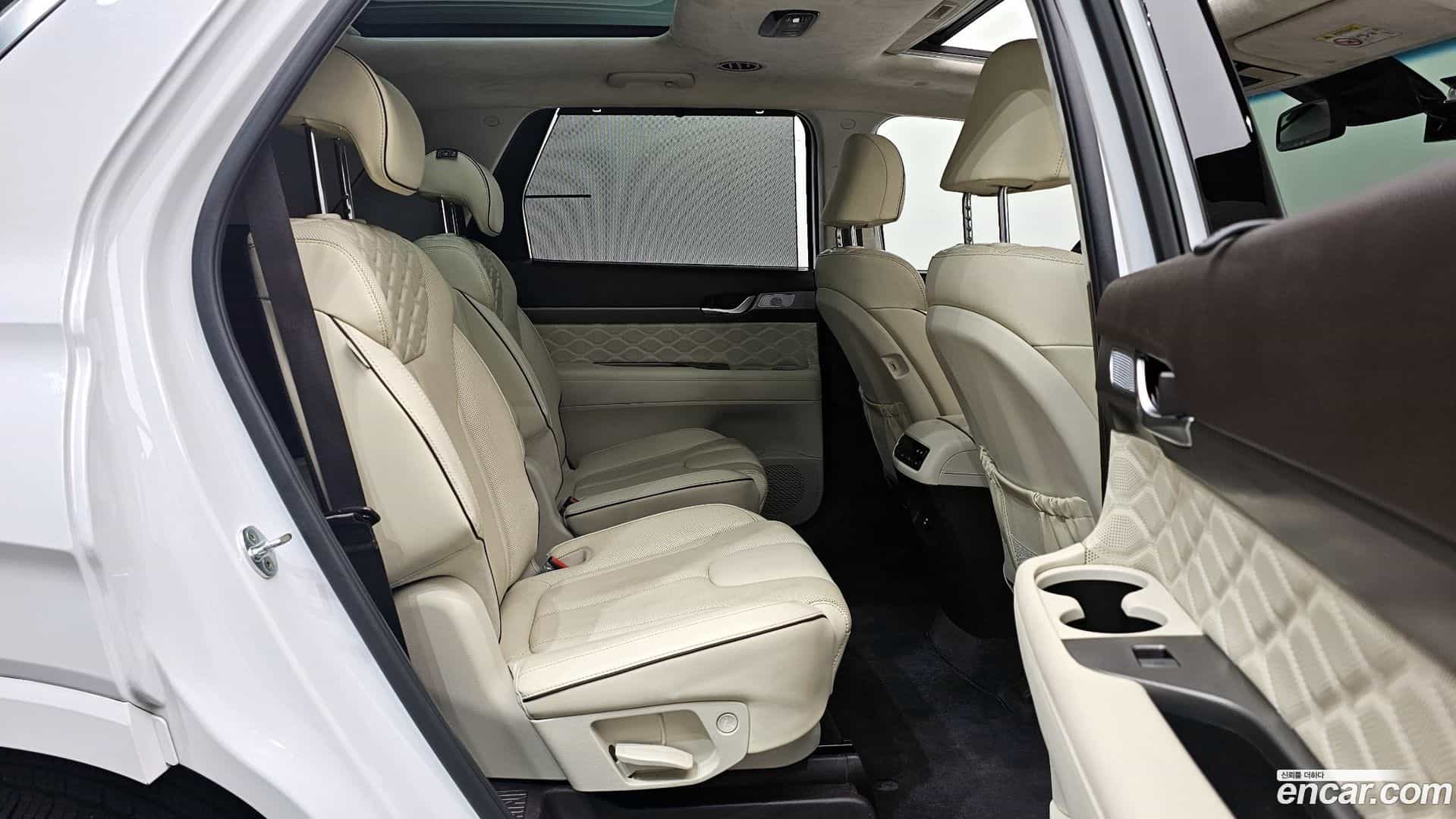 Palisade Hyundai 2021.3-OPTION-015