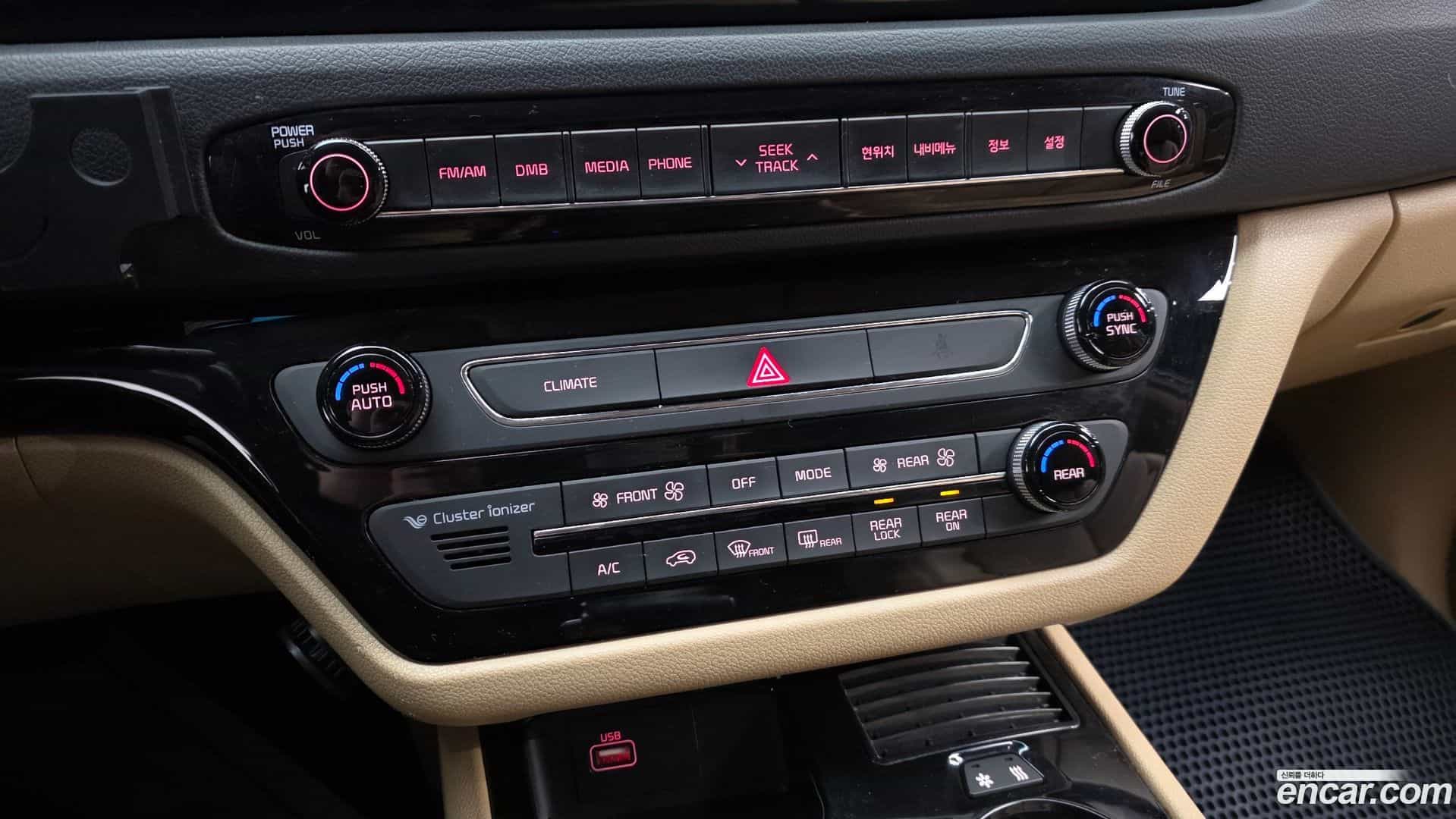 Canival Kia 2016.10-OPTION-020