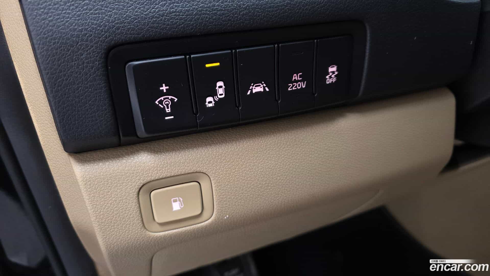 Canival Kia 2016.10-OPTION-021