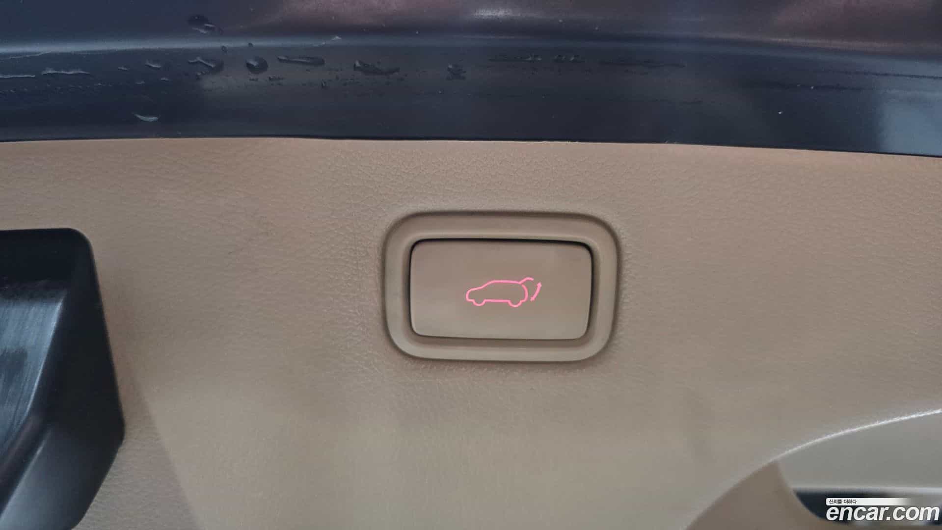 Canival Kia 2016.10-OPTION-044