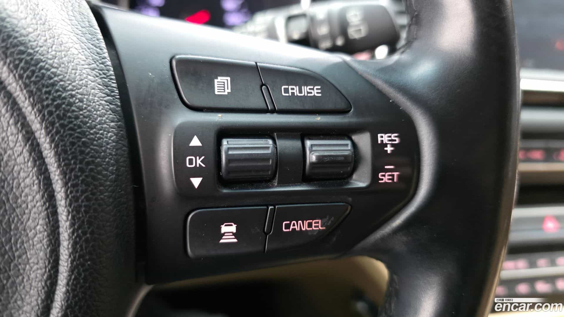 Canival Kia 2016.10-OPTION-045