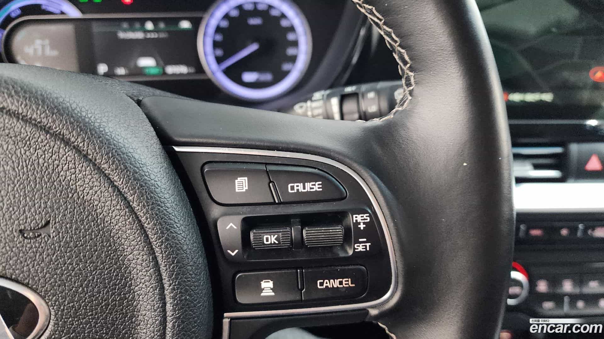 Niro Kia 2019.3-OPTION-021