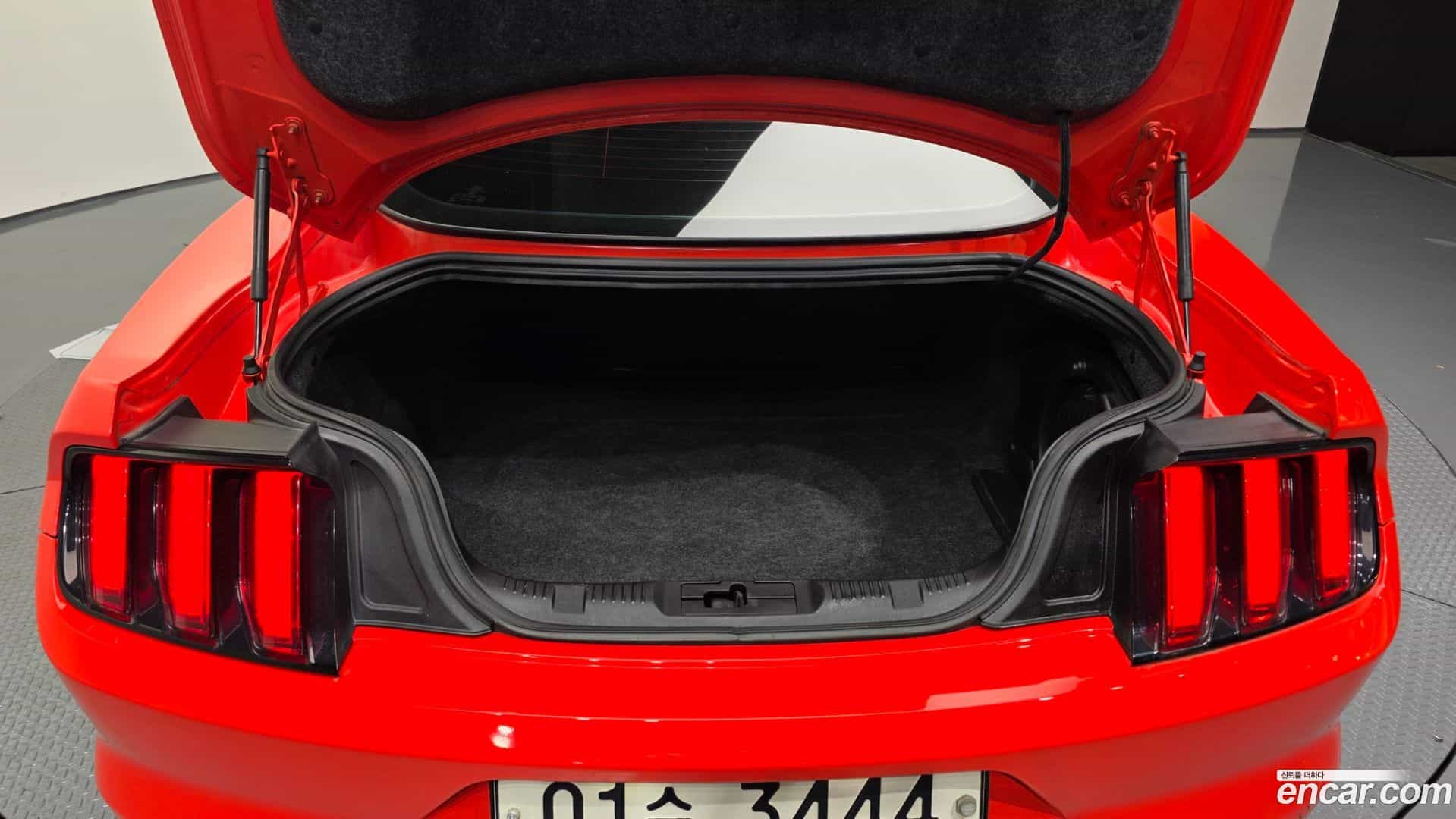 Mustang Ford 2015.2-OPTION-024