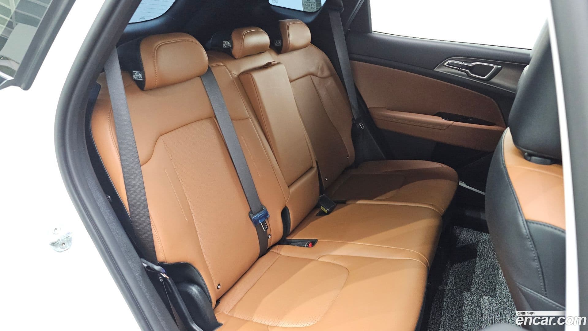 Main__Slider__Photo:Sportage Kia 2022.5-29