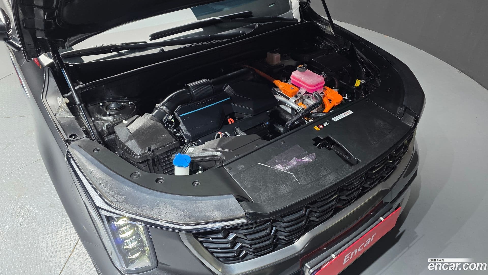 Main__Slider__Photo:Sorento Kia 2024.4-5