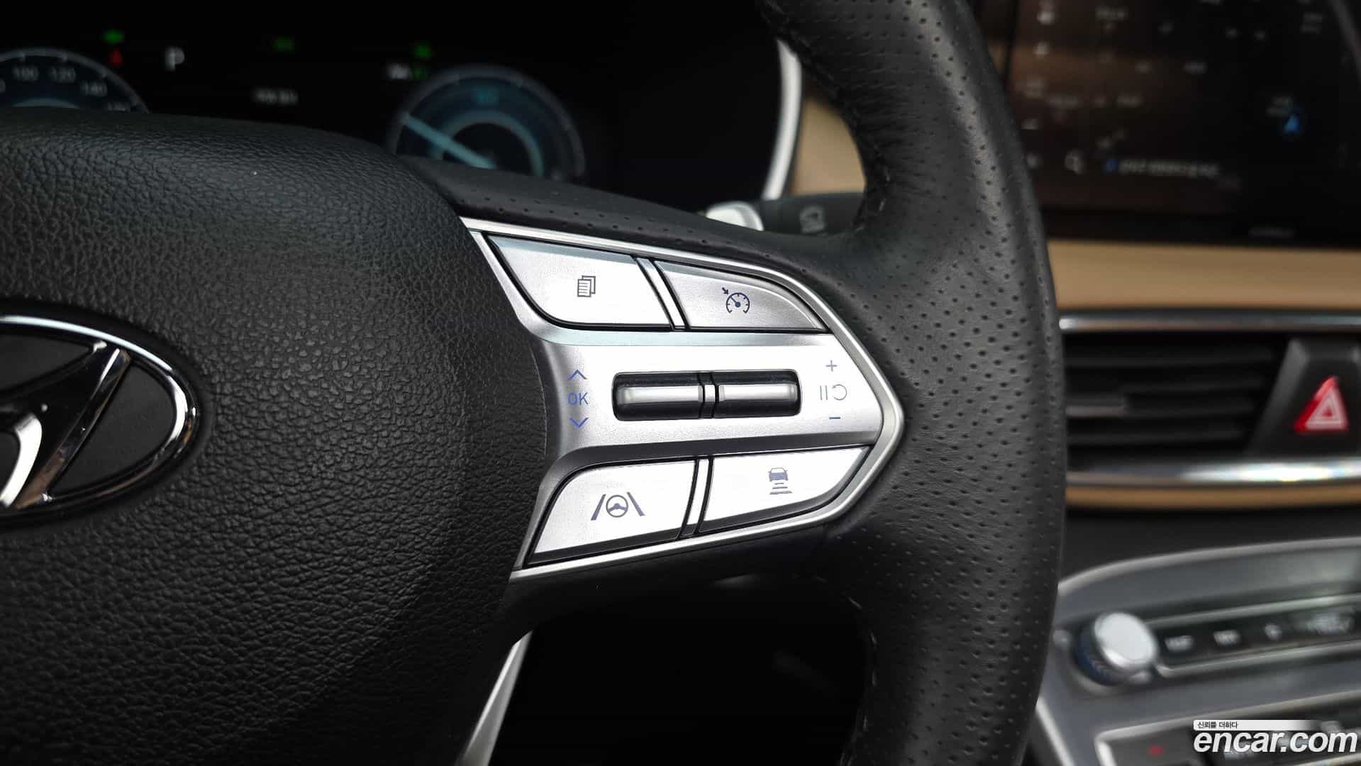 Santafe Hyundai 2022.11-OPTION-022