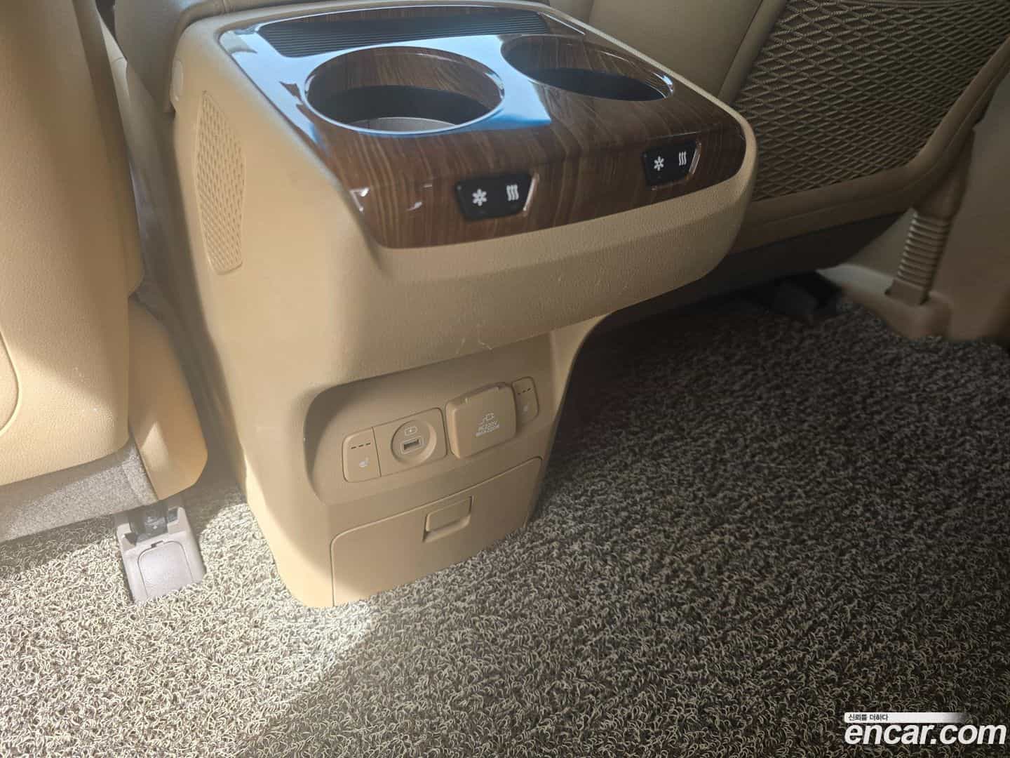 Canival Kia 2016.6-OPTION-020