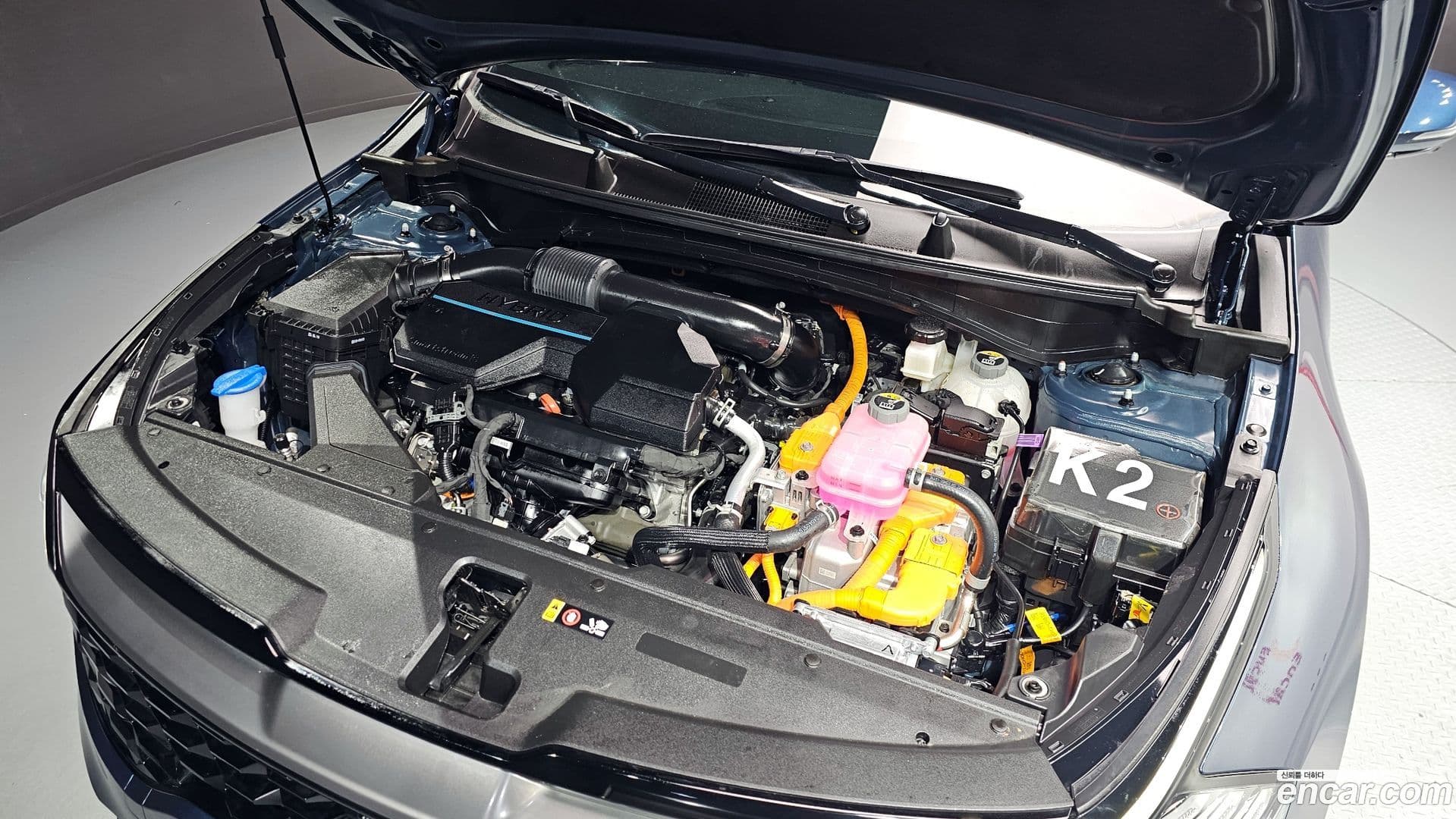 Main__Slider__Photo:Sportage Kia 2024.6-5