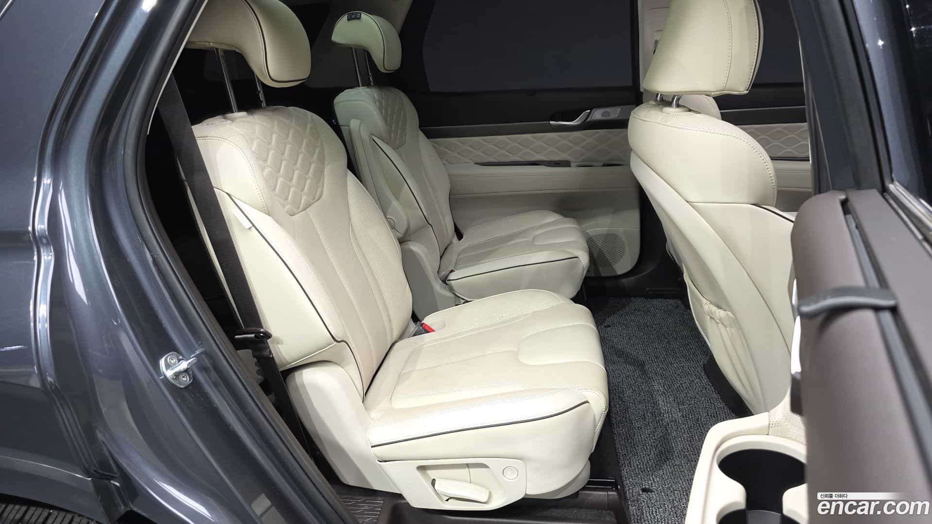 Palisade Hyundai 2021.8-OPTION-016