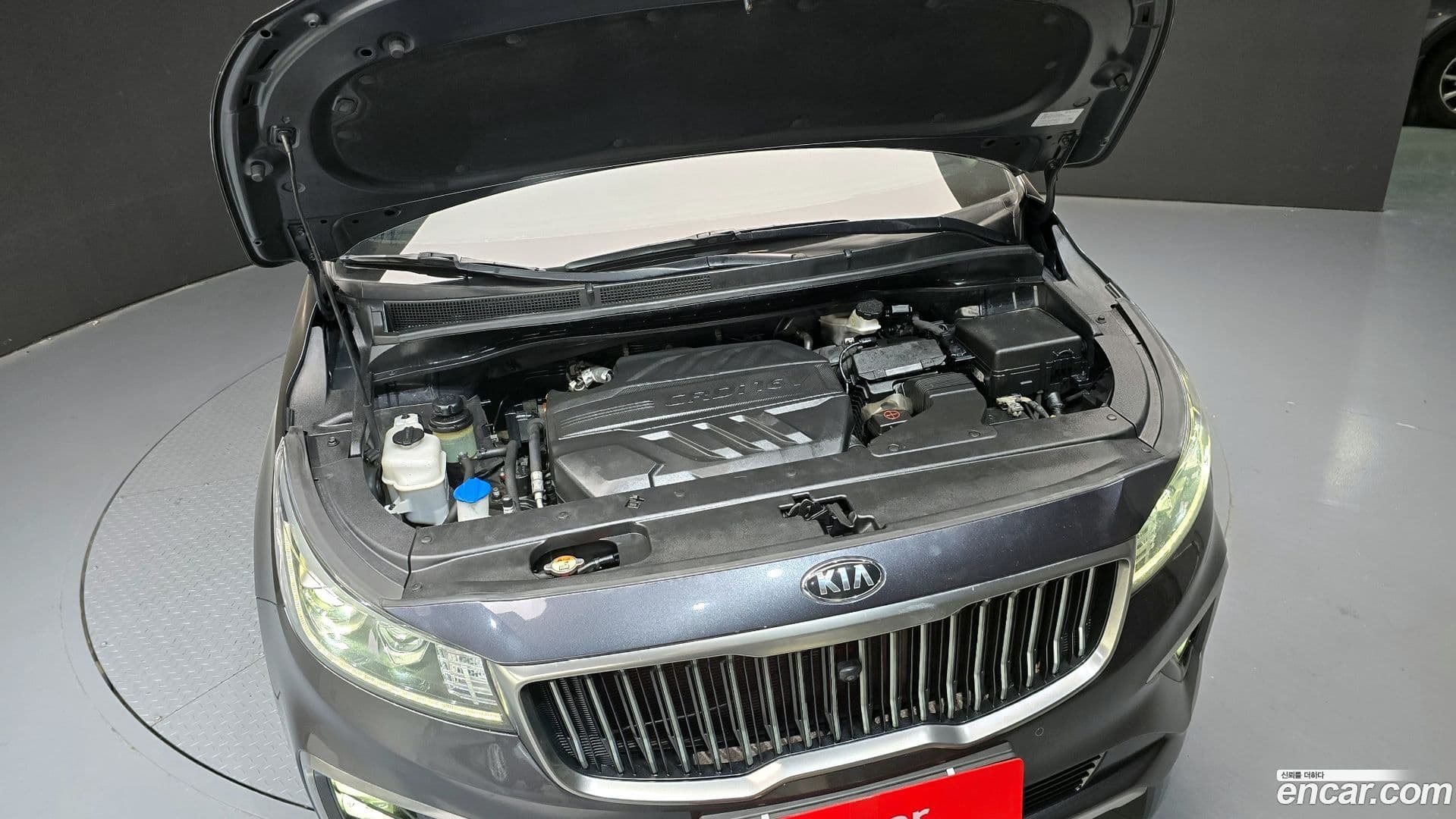 Main__Slider__Photo:Canival Kia 2018.8-5