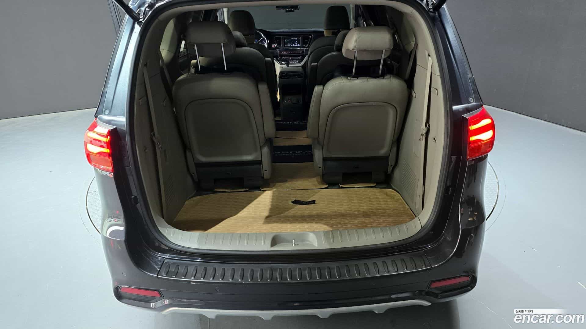Canival Kia 2018.8-OPTION-044
