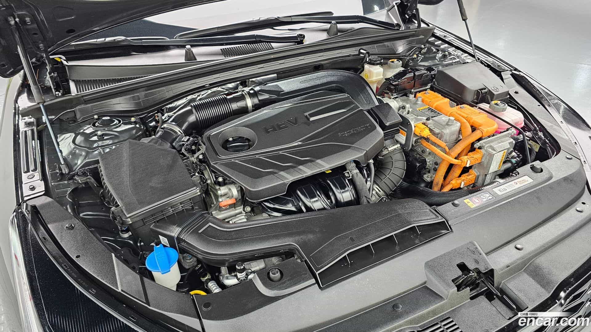 K5 Kia 2022.2-OUTER-006