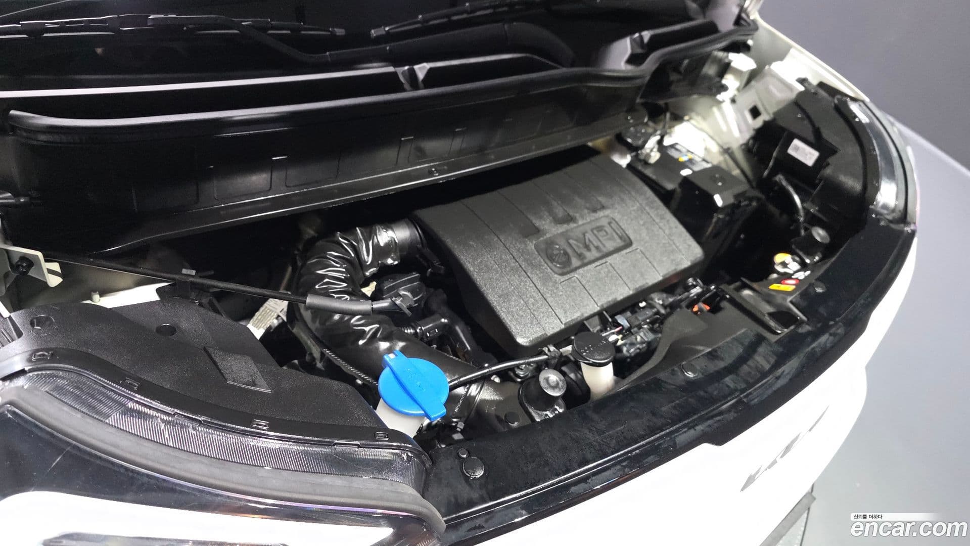 Main__Slider__Photo:RAY Kia 2023.3-5